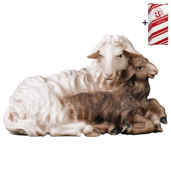 UL Schaf mit Lamm liegend + Geschenkbox - Color