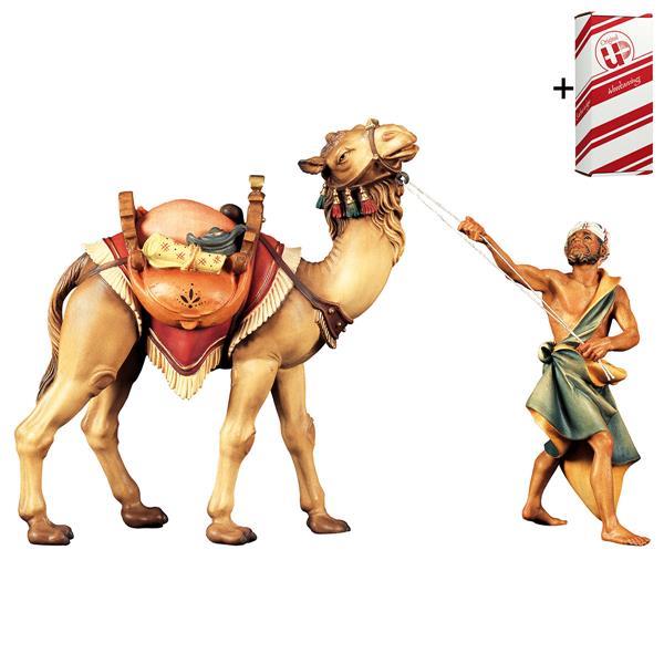 UL Kamelgruppe stehend 3 Teile + Geschenkbox - Color