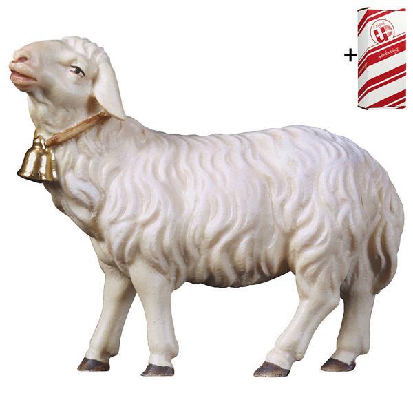HI Schaf geradeaus schauend mit Glocke + Geschenkbox - Color