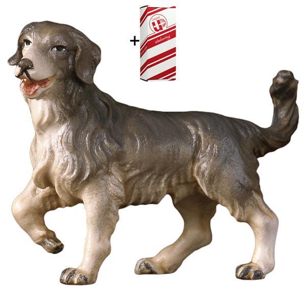 HI Hirtenhund + Geschenkbox - Color
