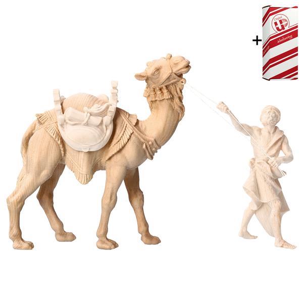 BE Kamel stehend + Geschenkbox - Natur-Zirbel