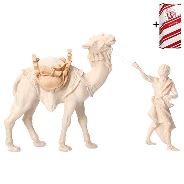 BE Sattel für Kamel stehend + Geschenkbox - Natur-Zirbel