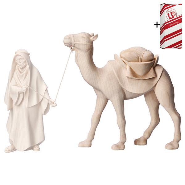 KO Kamel stehend + Geschenkbox - Natur