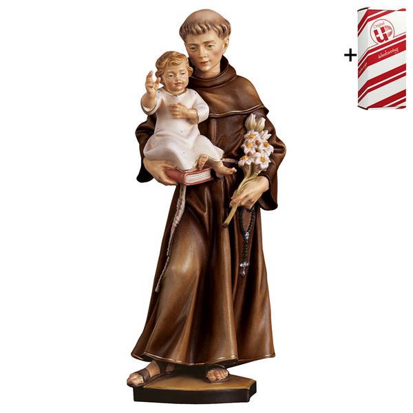 St. Anthony of Padova + Gift box - Colored