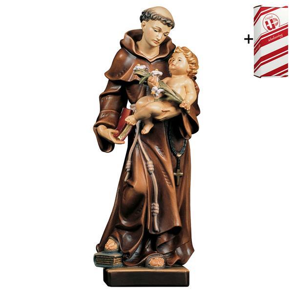 St. Anthony of Padova Classic + Gift box - Colored