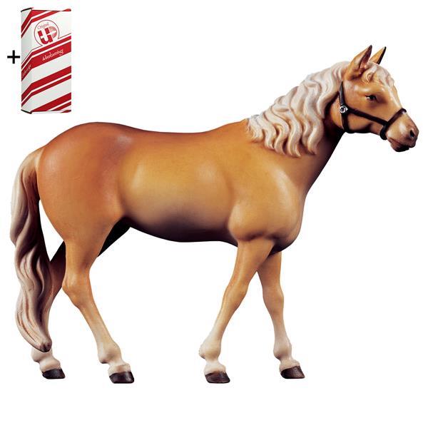 Horse Haflinger + Gift box - Colored