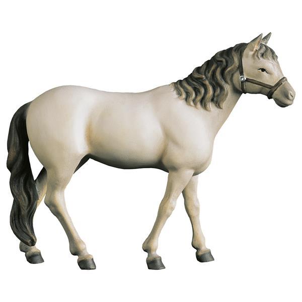 Horse white - Colored