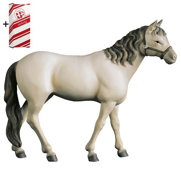 Horse white + Gift box - Colored