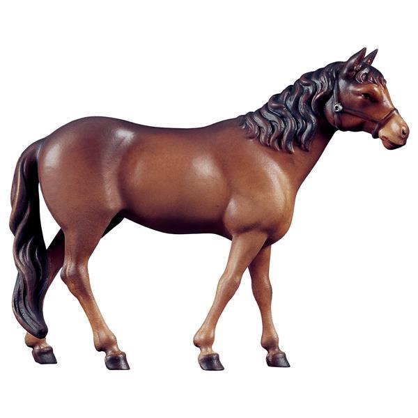 Horse brown - Colored