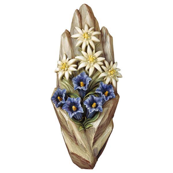 Relief edelweiss - Colored