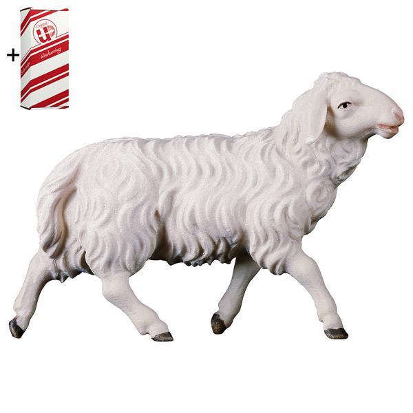 UL Running sheep + Gift box - Colored
