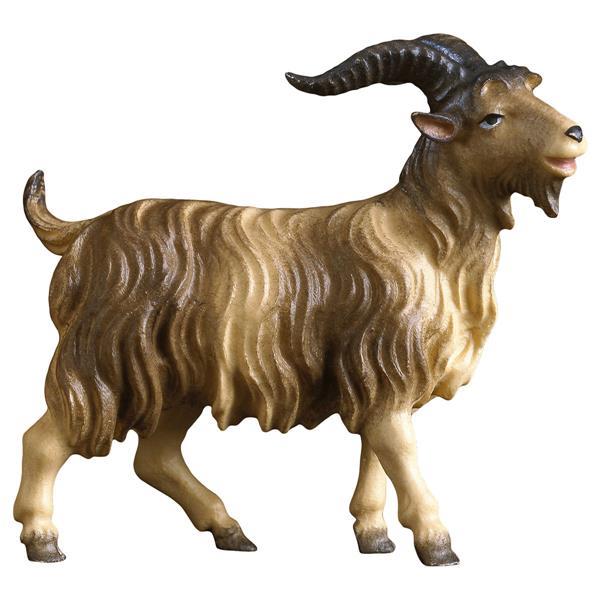 UL He-Goat - Colored