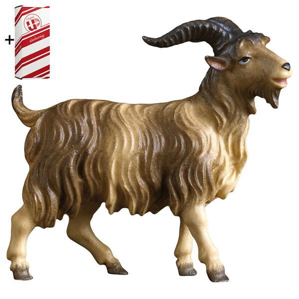 UL He-Goat + Gift box - Colored