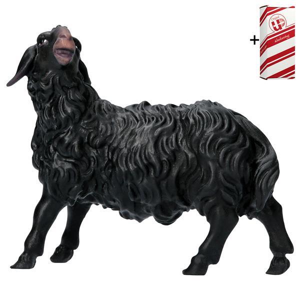 UL Sheep looking leftward black + Gift box - Colored