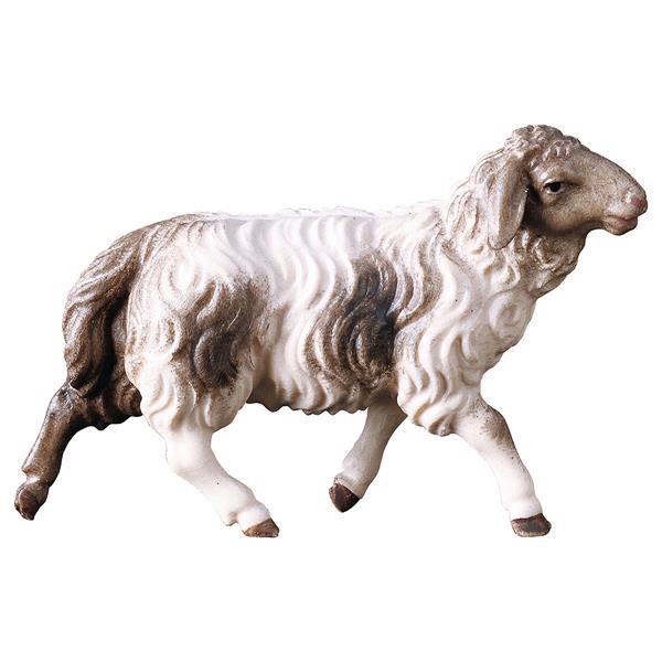 UL Running sheep blotched brown - Colored
