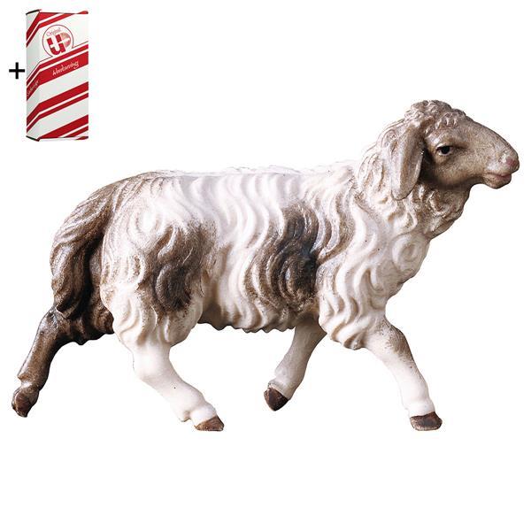UL Running sheep blotched brown + Gift box - Colored