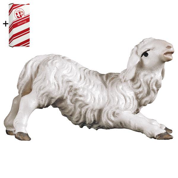 UL Kneeling lamb + Gift box - Colored