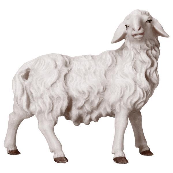 UL Sheep looking rightward - Colored