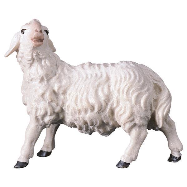 UL Sheep looking leftward - Colored