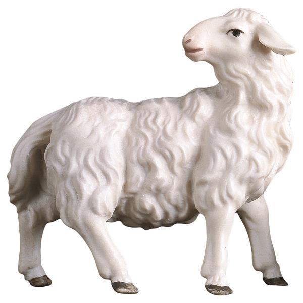 UL Sheep looking backward - Colored