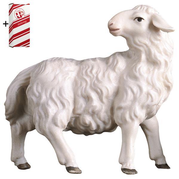 UL Sheep looking backward + Gift box - Colored