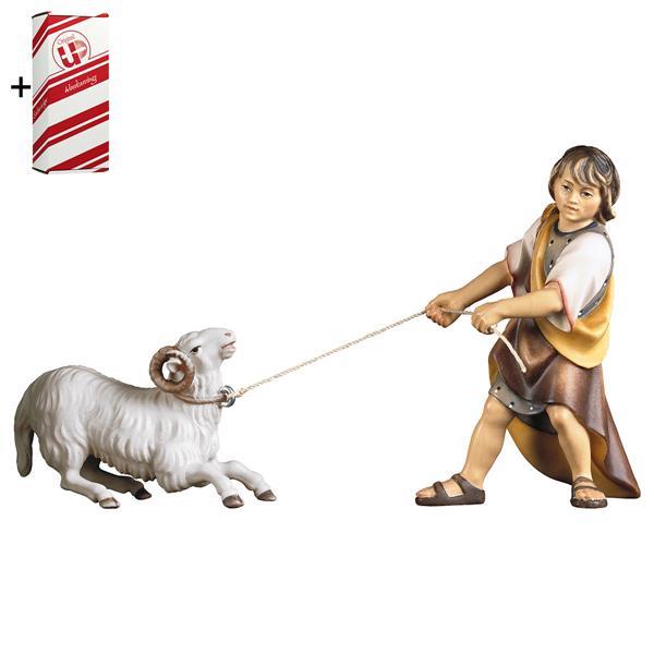 UL Pulling child with kneeling ram 2 Pieces + Gift box - Colored