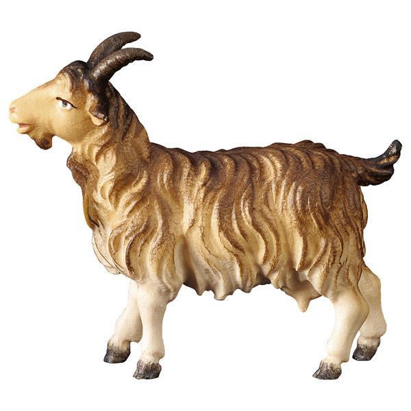 SH Goat - Colored