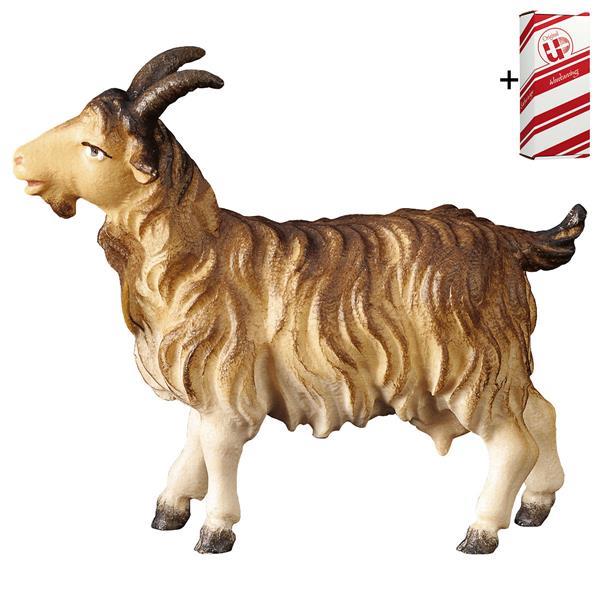 SH Goat + Gift box - Colored