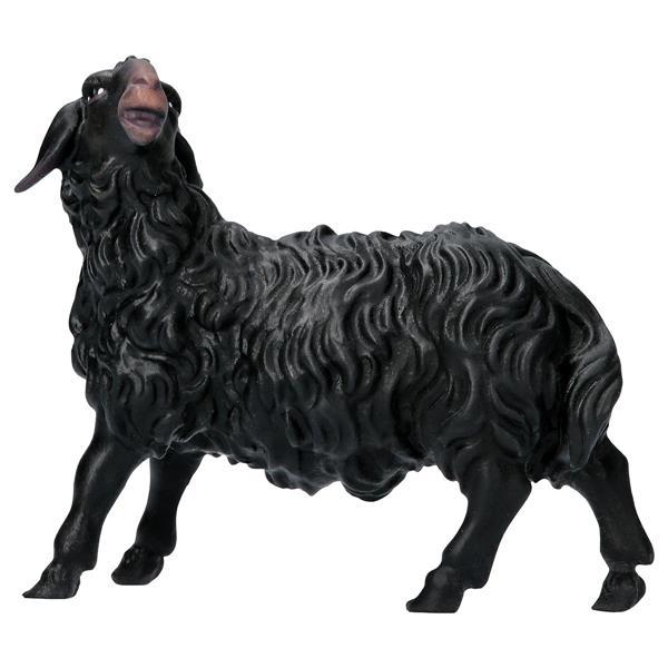 SH Sheep looking leftward black - Colored