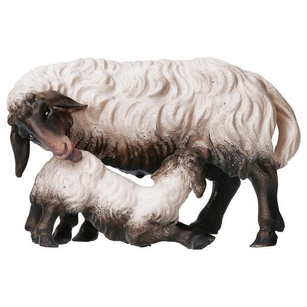 SH Sheep with suckling lamb head black - Colored