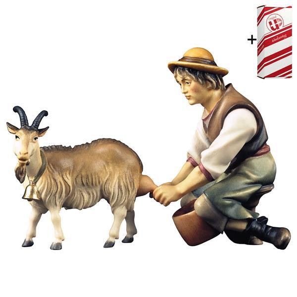 SH Milking herder with Goat to milking 2 Pieces + Gift box - Colored
