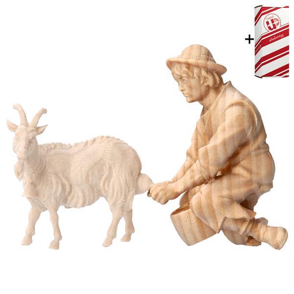 MO Milking herder + Gift box - Natural-Pine