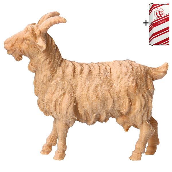 MO Goat + Gift box - Natural-Pine
