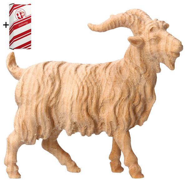 MO He-Goat + Gift box - Natural-Pine
