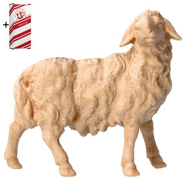 MO Sheep looking rightward + Gift box - Natural-Pine