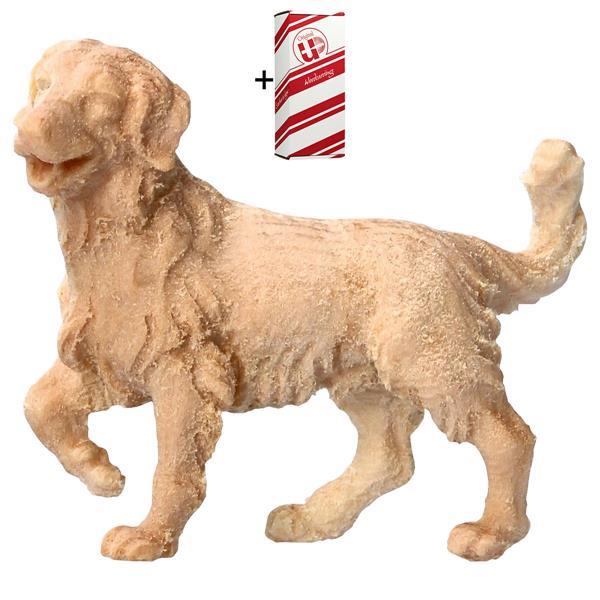 MO Herder-dog + Gift box - Natural-Pine