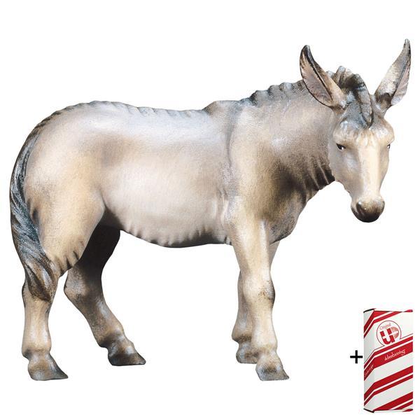 SA Donkey + Gift box - Colored