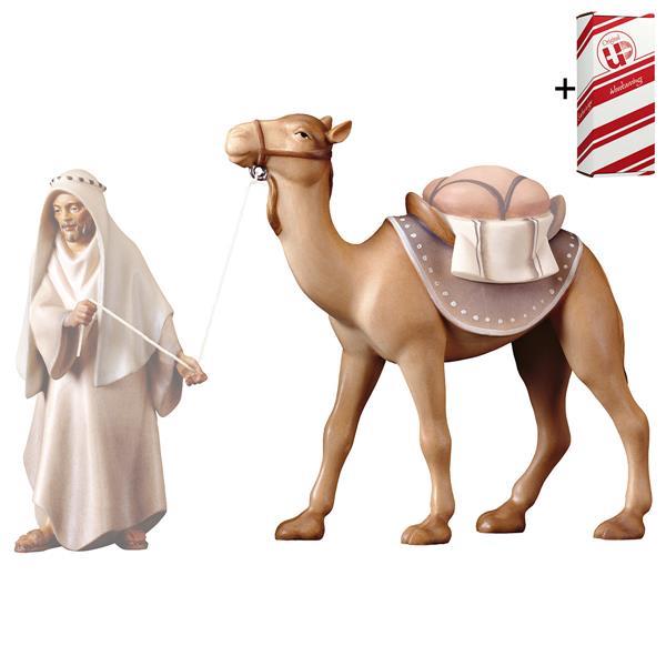 SA Standing camel + Gift box - Colored