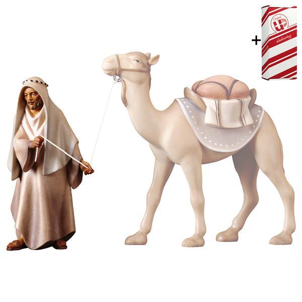 SA Standing camel driver + Gift box - Colored