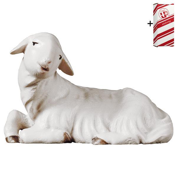 SA Lying lamb + Gift box - Colored