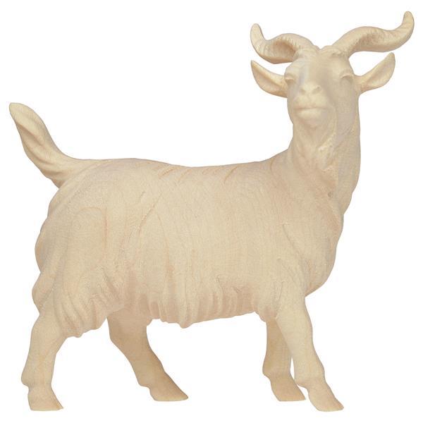SA He-Goat - Natural