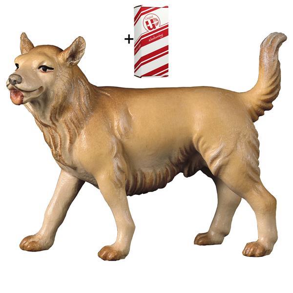 SA Herder-dog + Gift box - Colored