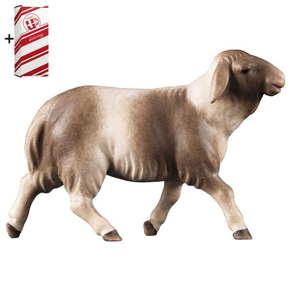 CO Running sheep blotched brown + Gift box - Colored