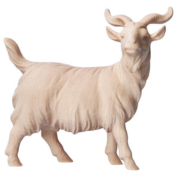 CO He-Goat - Natural