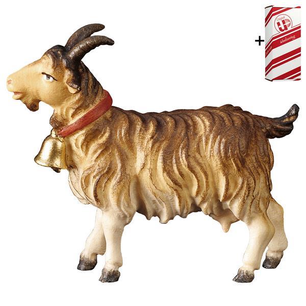 PA Cabra con campana + Caja regalo - Coloreado