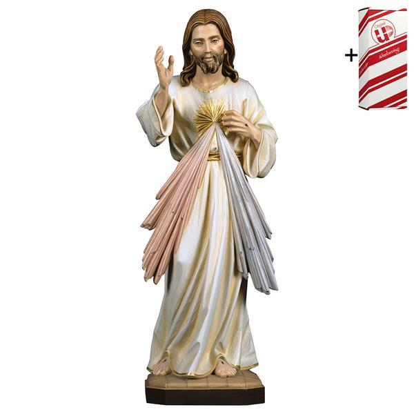 Jesús Misericordioso + Caja regalo - Coloreado