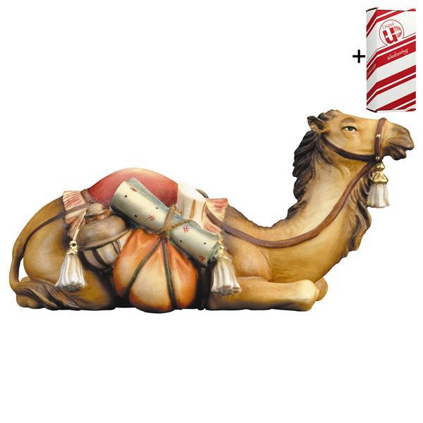 UL Camello yacente + Caja regalo - Coloreado