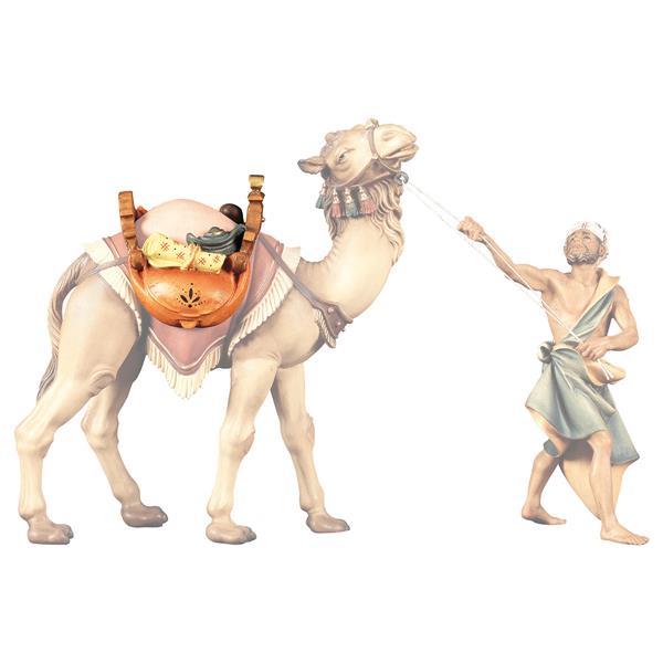 UL Silla para Camello de pie - Coloreado