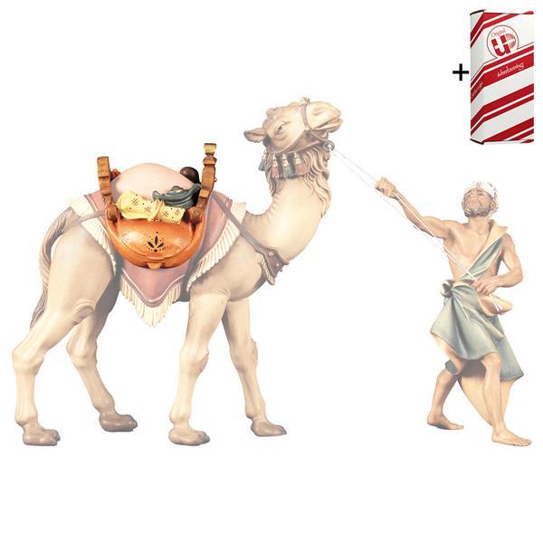 UL Silla para Camello de pie + Caja regalo - Coloreado