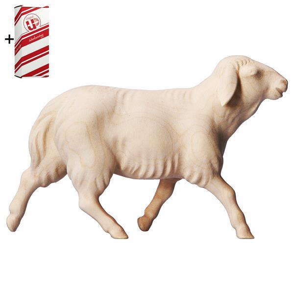 CO Mouton marchant + Coffret cadeau - Naturel